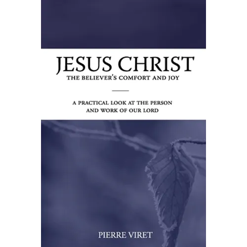 Jesus Christ the Believer's Comfort and Joy: A practical look at the person and work of our Lord
