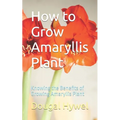 How to Grow Amaryllis Plant: Knowing the Benefits of Growing Amaryllis Plant