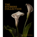 The Stebbins Collection: A Gift for the Morse Museum