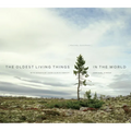 The Oldest Living Things in the World