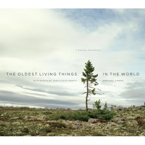 The Oldest Living Things in the World