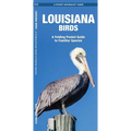 Louisiana Birds