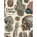 Cut and Collage A Treasury of Vintage Anatomy Images for Collage and Mixed Media Artists