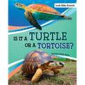 Is It a Turtle or a Tortoise?