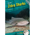 Zebra Sharks