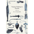 Tarpon Fishing in Florida