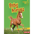 Baby Horses