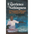 The Experience of Nothingness