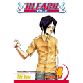 Bleach, Vol. 4