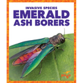 Emerald Ash Borers