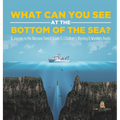 What Can You See in the Bottom of the Sea? A Journey to the Mariana Trench Grade 5 Children's Mystery & Wonders Books