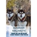 Alaskan Malamute: Thinking Like A Dog And Building A Smart Program To Train Your Dog: Tips For English Foxhound Training