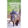Southwest Desert Life