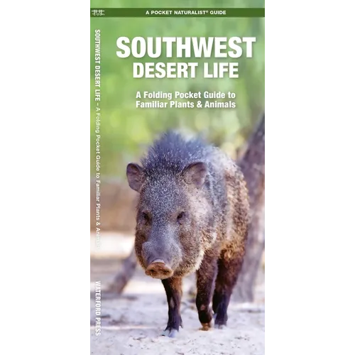 Southwest Desert Life