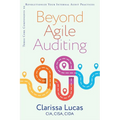 Beyond Agile Auditing: Three Core Components to Revolutionize Your Internal Audit Practices