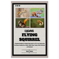 Raising Flying Squirrel: A Complete Handbook for Keeping Flying Squirrel as Pet: Learn Step-by-Step Pet Owners Breeding Tips, Feeding, Habitat