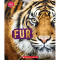 Fur (Learn About: Animal Coverings)