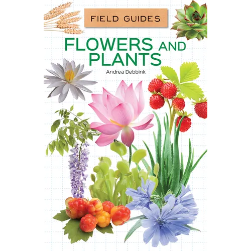 Flowers and Plants
