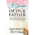 A Glimpse of Our Father: Lessons Parenthood Reveals for All of God's Children