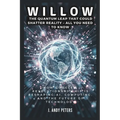 Willow: The Quantum Leap That Could Shatter Reality - ALL YOU NEED TO KNOW: How Google's Revolutionary Chip Is Reshaping AI, C