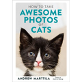How to Take Awesome Photos of Cats
