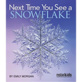 Next Time You See a Snowflake