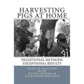 Harvesting Pigs at Home: Traditional Methods, Exceptional Results