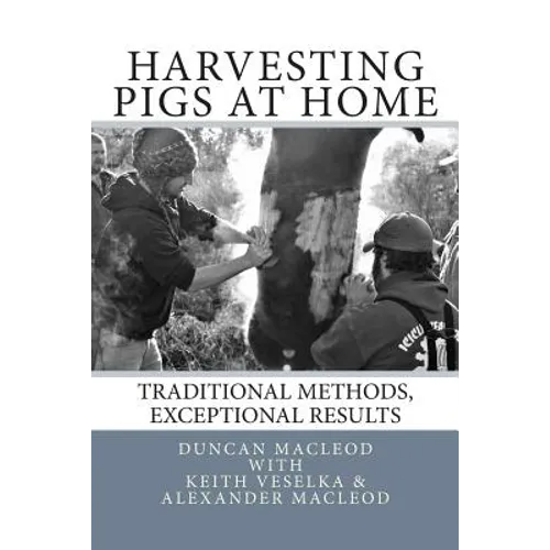 Harvesting Pigs at Home: Traditional Methods, Exceptional Results
