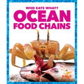 Ocean Food Chains