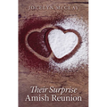 Their Surprise Amish Reunion