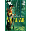 Amazing North East - Nagaland