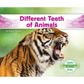 Different Teeth of Animals
