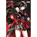 Akame Ga Kill! Zero, Vol. 10: Volume 10