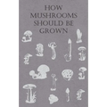 How Mushrooms Should Be Grown