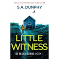 Little Witness: Totally jaw-dropping Irish crime fiction