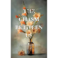The Chasm Between Us