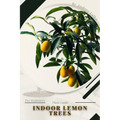 Indoor Lemon Trees: Plant Guide