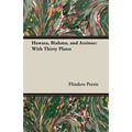 Hawara, Biahmu, and Arsinoe: With Thirty Plates