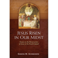 Jesus Risen in Our Midst: Essays on the Resurrection of Jesus in the Fourth Gospel