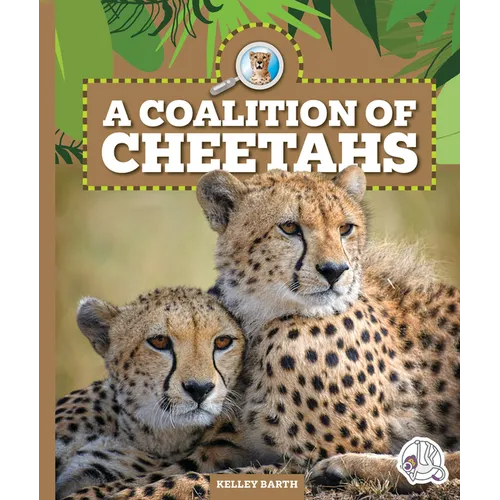A Coalition of Cheetahs