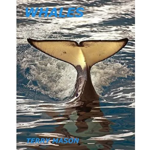 Whales: Whale Facts for Kids, Whales Gentle Giants of the Sea