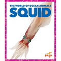 Squid