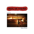 American Phoenix: poems