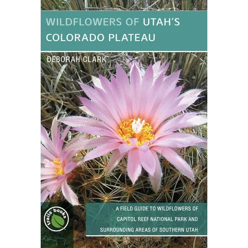 Wildflowers of Utah's Colorado Plateau