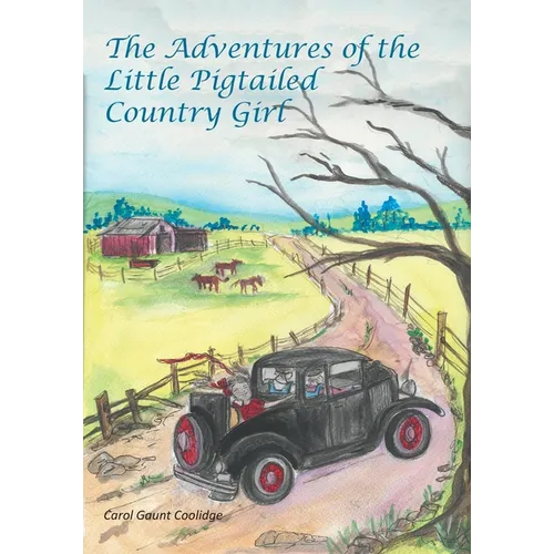 The Adventures of the Little Pigtailed Country Girl