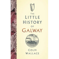 The Little History of Galway
