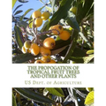 The Propogation of Tropical Fruit Trees and Other Plants: Bureau of Plant Industry, Bulletin 48