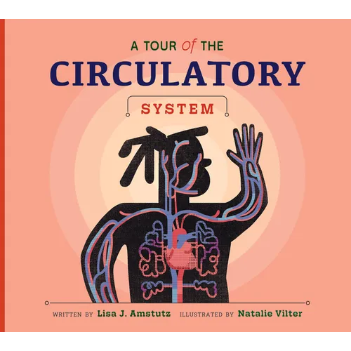 A Tour of the Circulatory System