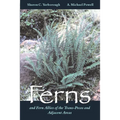 Ferns and Fern Allies of the Trans-Pecos and Adjacent Areas