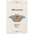 Metamorphosis